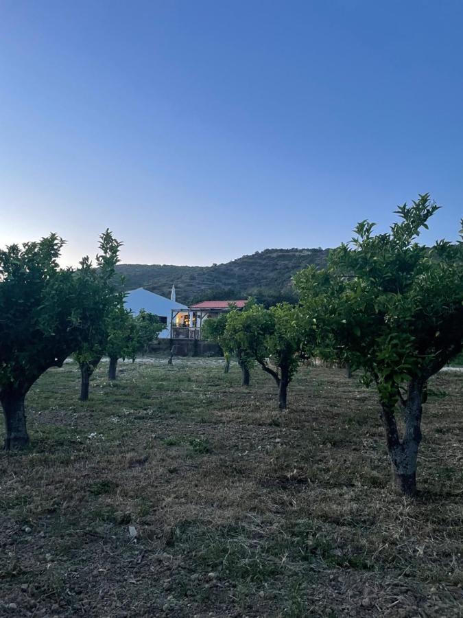 Quinta Da Boa Sorte Estoi Kültér fotó