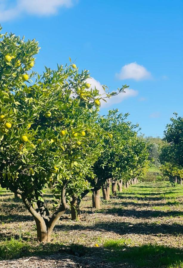 Quinta Da Boa Sorte Estoi Kültér fotó